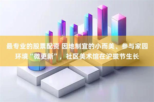 最专业的股票配资 因地制宜的小而美、参与家园环境“微更新”，社区美术馆在沪拔节生长