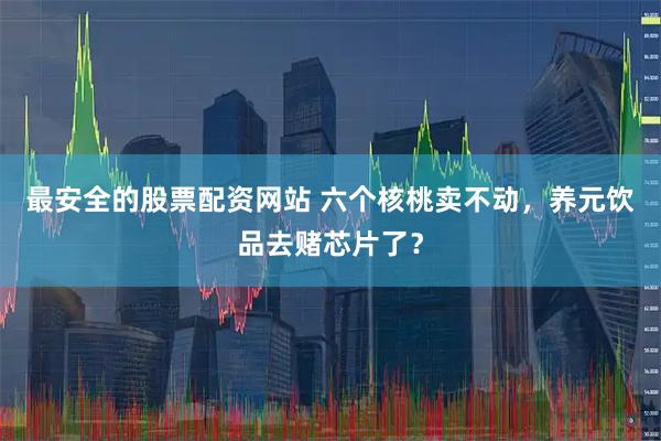 最安全的股票配资网站 六个核桃卖不动，养元饮品去赌芯片了？